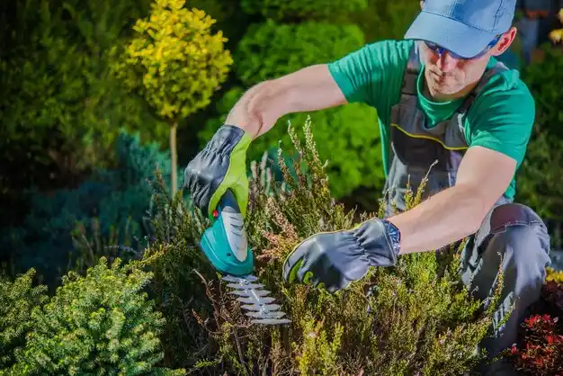landscaping services Dixon